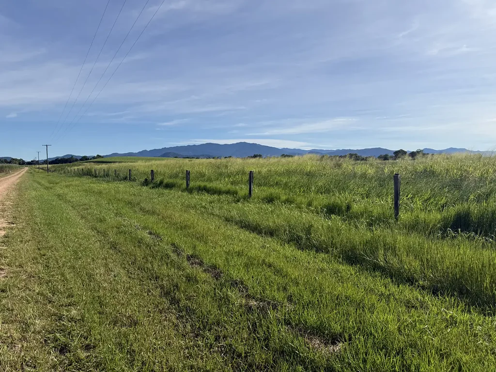 Silkwood  Cattle property with Creek, Building pad, Power, Water bore, and as new boundary Fencing