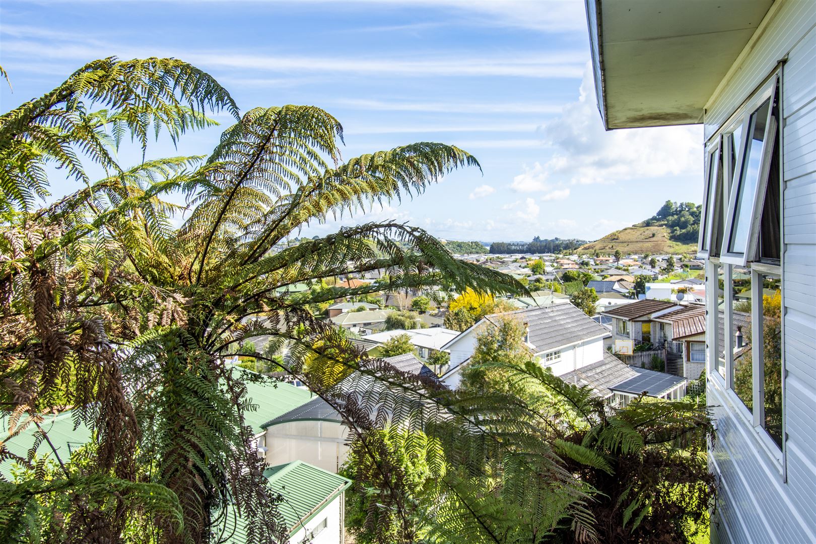 345 Waihi Road, Brookfield, Tauranga, 2 Bedrooms, 1 Bathrooms