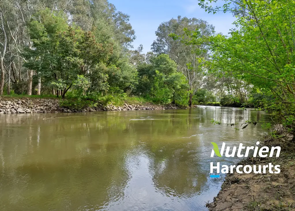 Everton Prime Ovens River frontage - Exceptional Rural/Lifestyle Opportunity