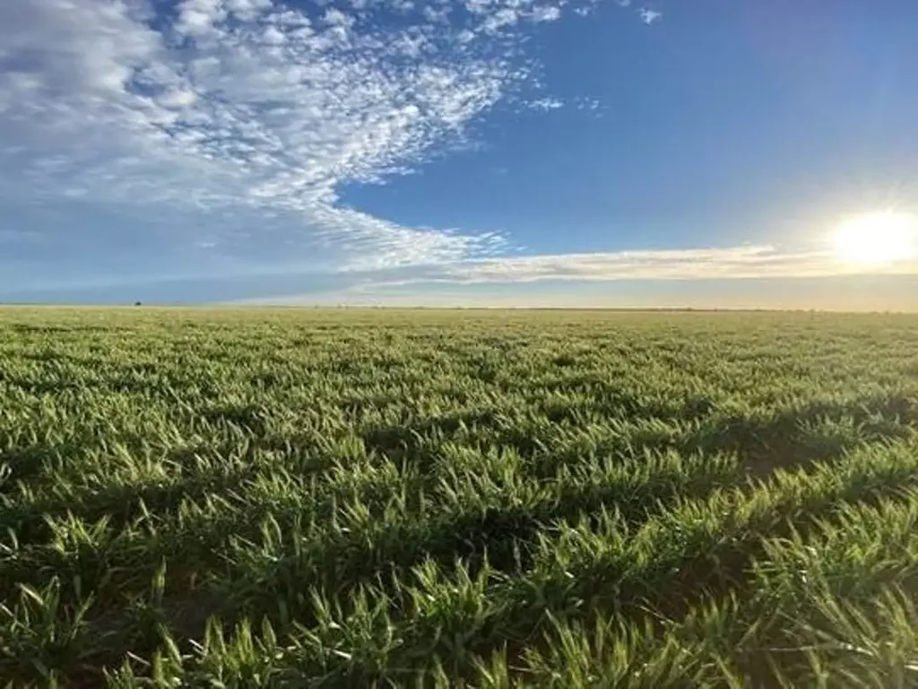 Brewarrina Glenallyn & Pratts Hut, Brewarrina