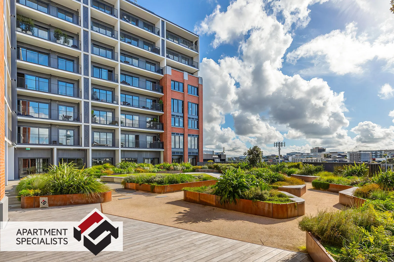 59 France Street, Eden Terrace, photo 4