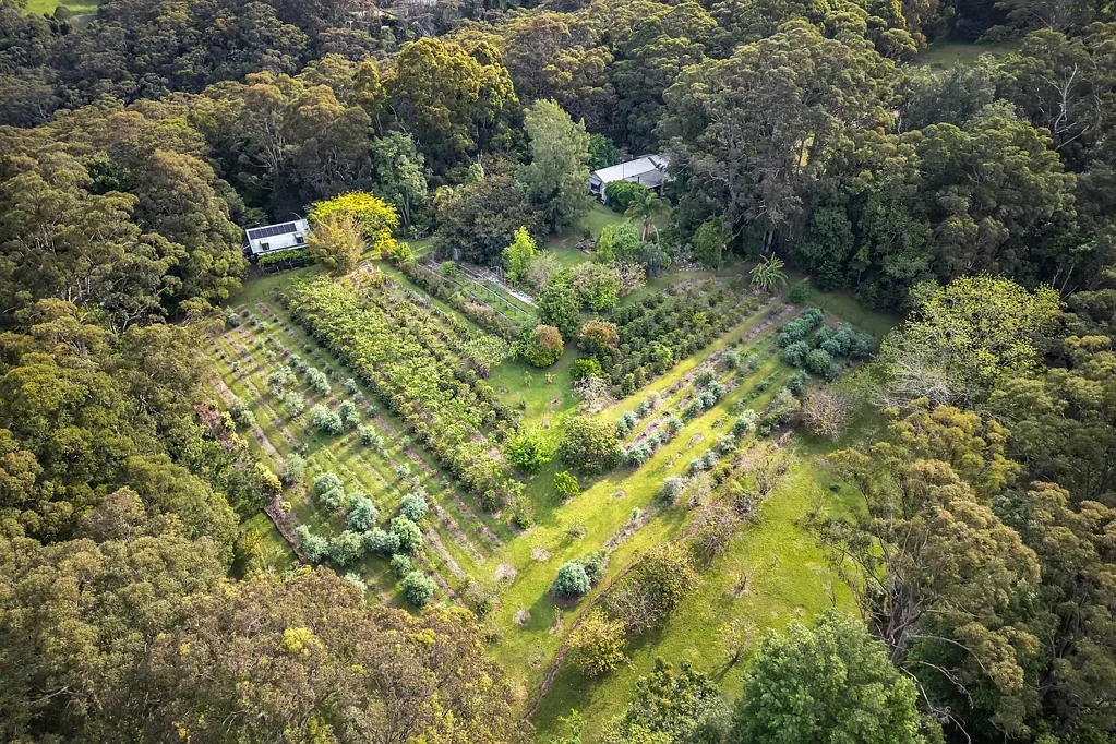 386 The Ridgeway, Lisarow, NSW 2250