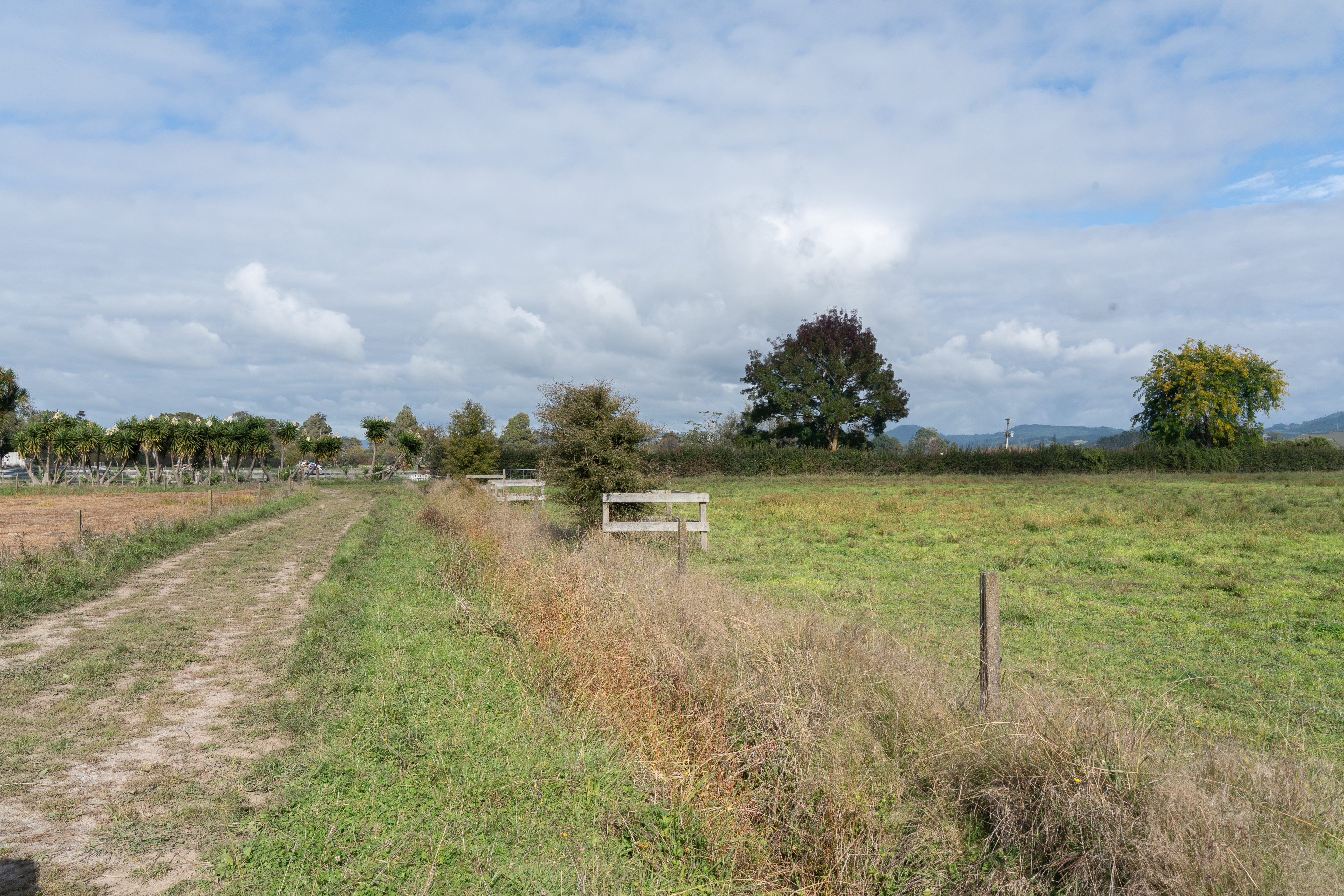 166 Crawford Road, Te Kowhai, Waikato, 0 chambres, 0 salles de bain, Lifestyle Section