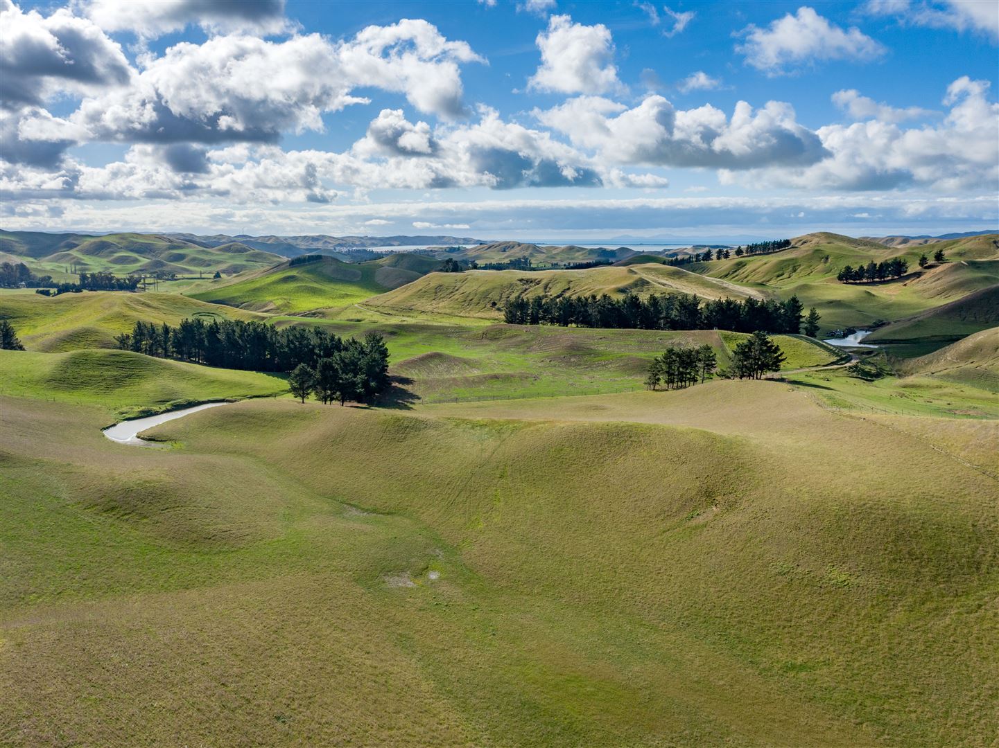 285 Grassmere Road, Seddon, Marlborough, 4 rūma, 2 rūma horoi, Viticulture