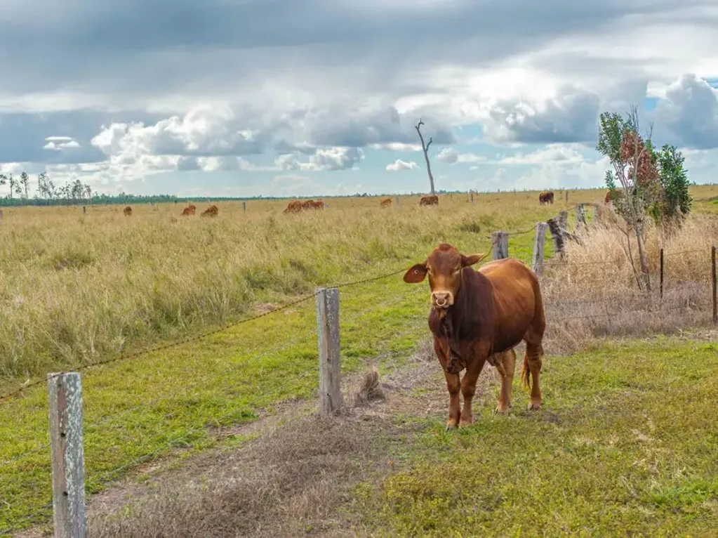 Dunmora 3房  Exceptional 325-Acre Rural Holding with Water Security, Infrastructure & Future Potential