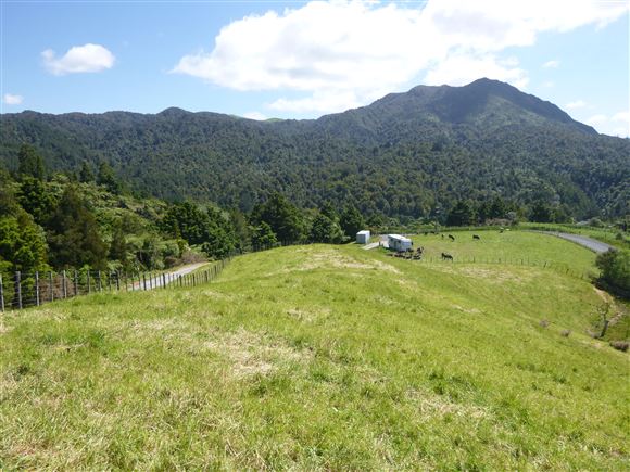 111a Dickey Flat Road, Waikino, Hauraki, 3房, 0浴