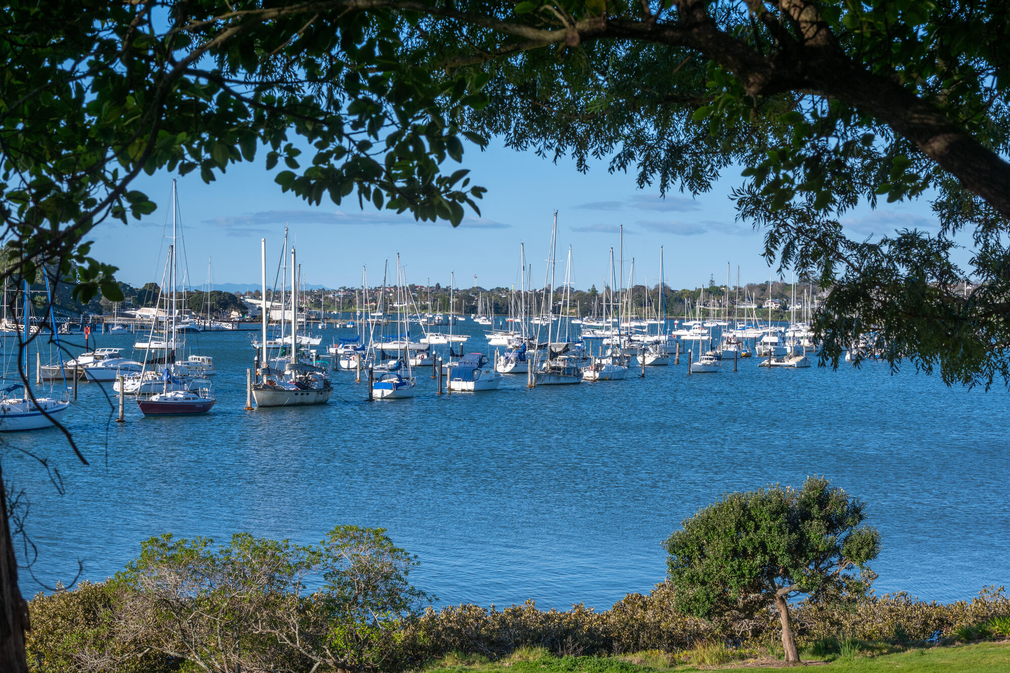 12 Dayspring Way, Pakuranga, photo 14
