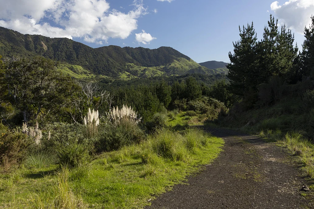 Panguru Secluded and Private Lifestyle Blocks