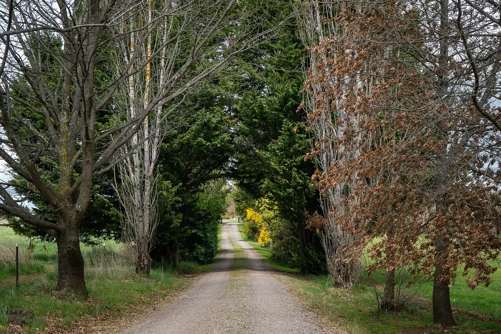 Huntley  Springdale – Productive 24ha Holding Under 10km from Orange