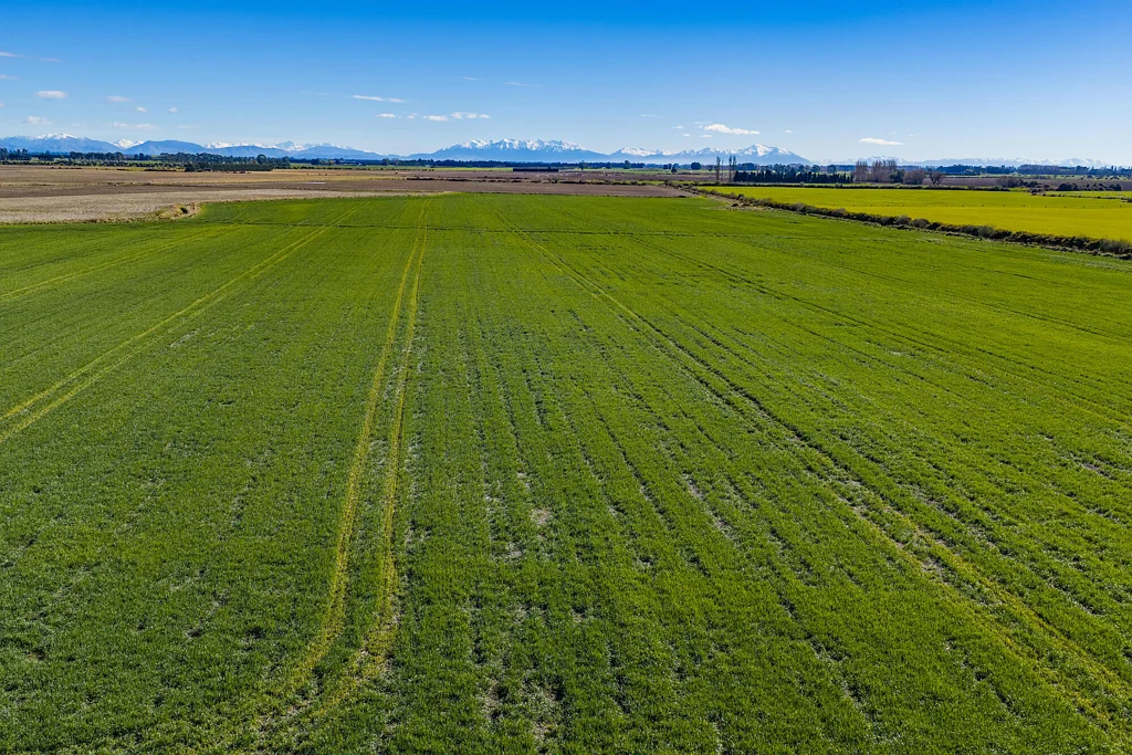 Lowcliffe Well Located Dryland Dairy Support
