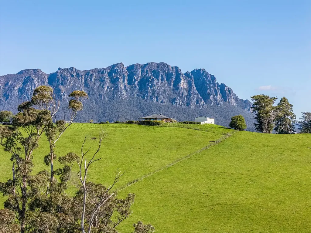 123 Careys Road, West Kentish, TAS 7306