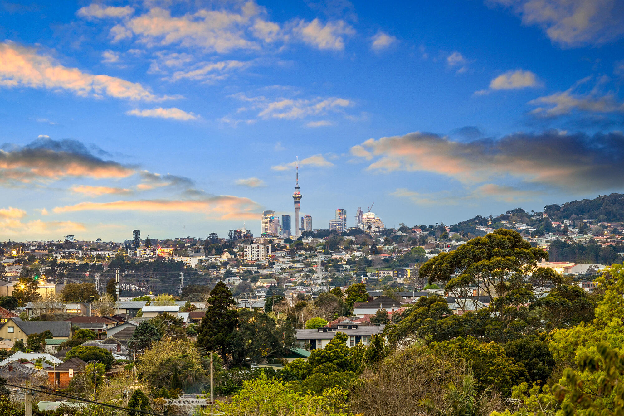 1/37 South Lynn Road, Titirangi, photo 5