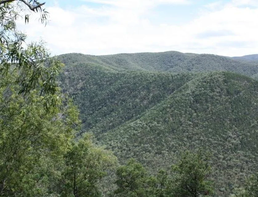 Lot 10 Mountain Creek, Tenterfield, Tamworth, 0 Schlafzimmer, 0 Badezimmer, Lifestyle Property