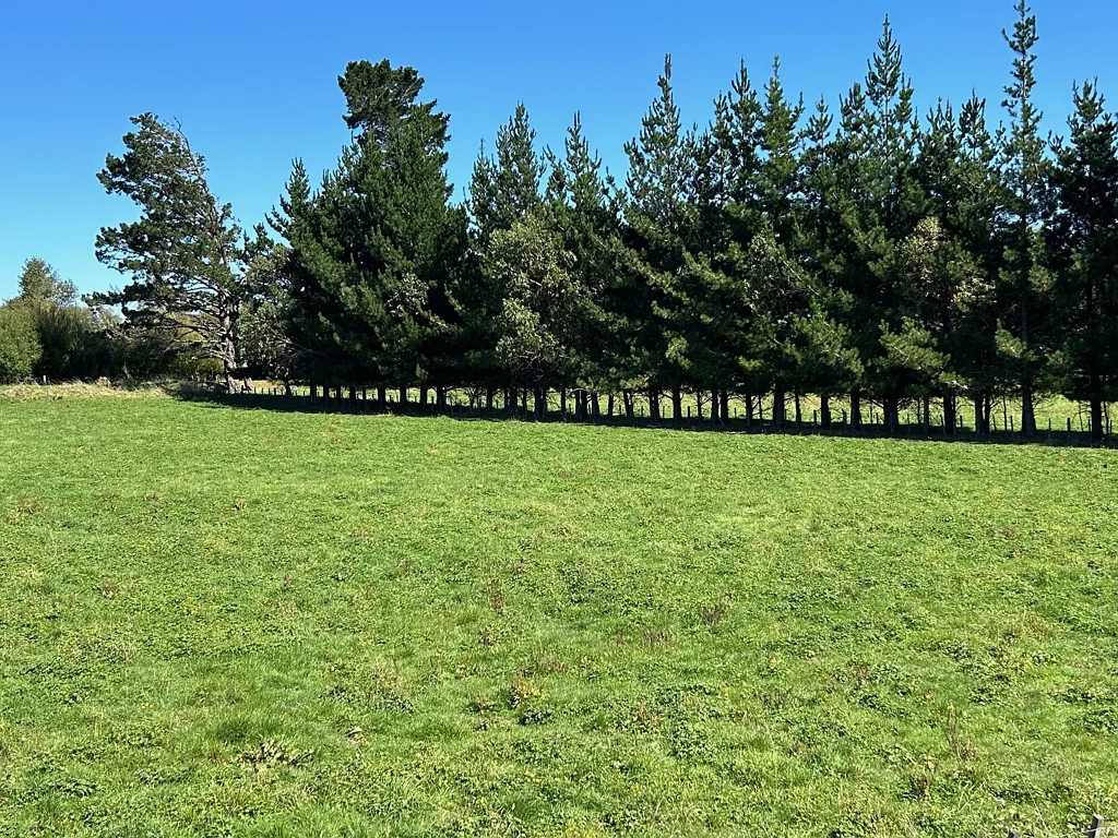 Woodville Flexibility and potential