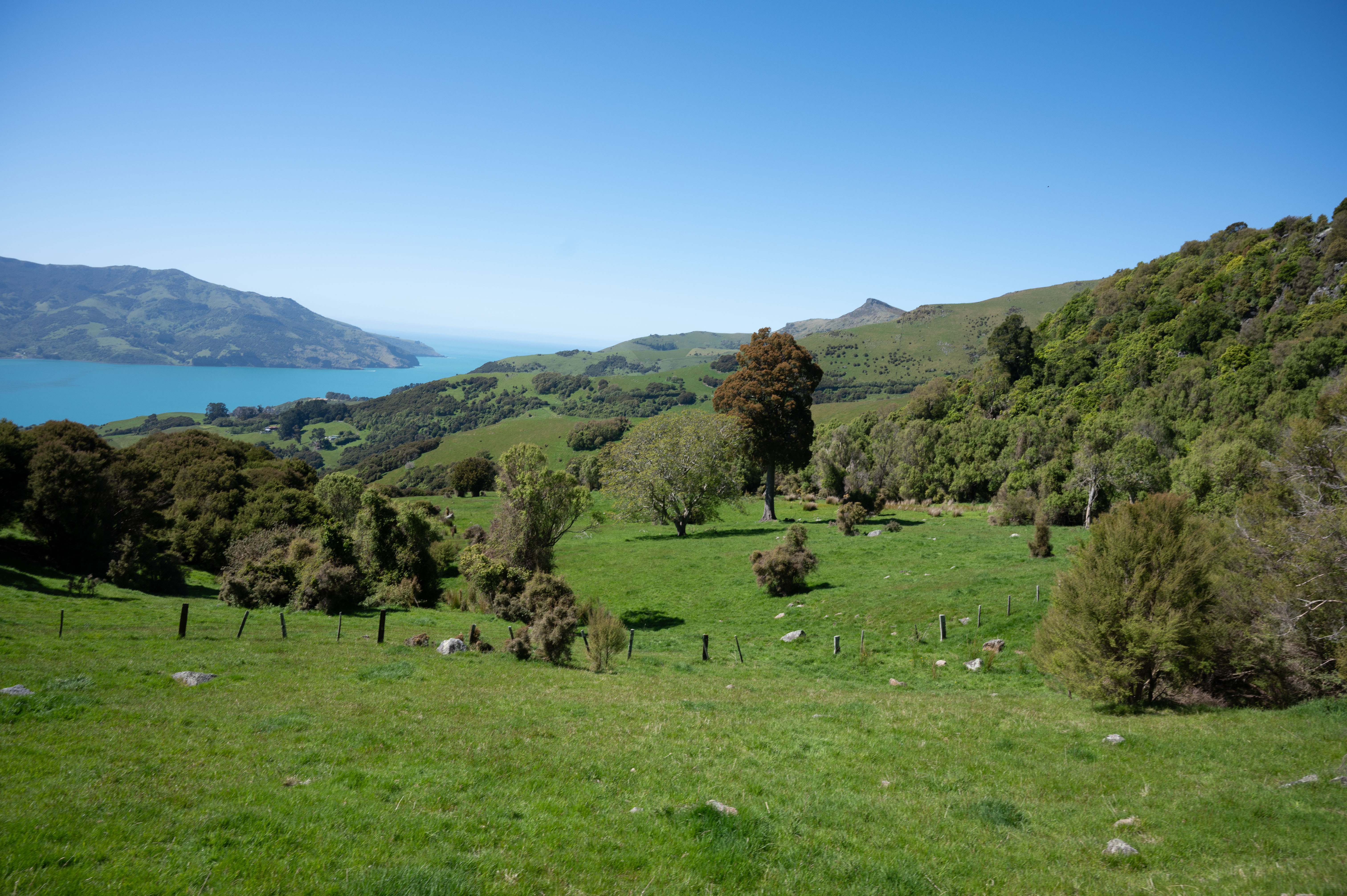 250 Jubilee Road, Wainui, Christchurch, 0 Bedrooms, 1 Bathrooms, Bare Land