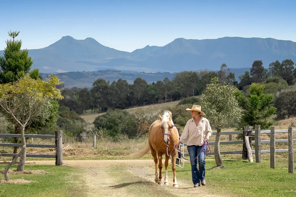 Milford Executive Rural Living With Pool & Horse Facilities - 67 Acres in the Heart of the Scenic Rim