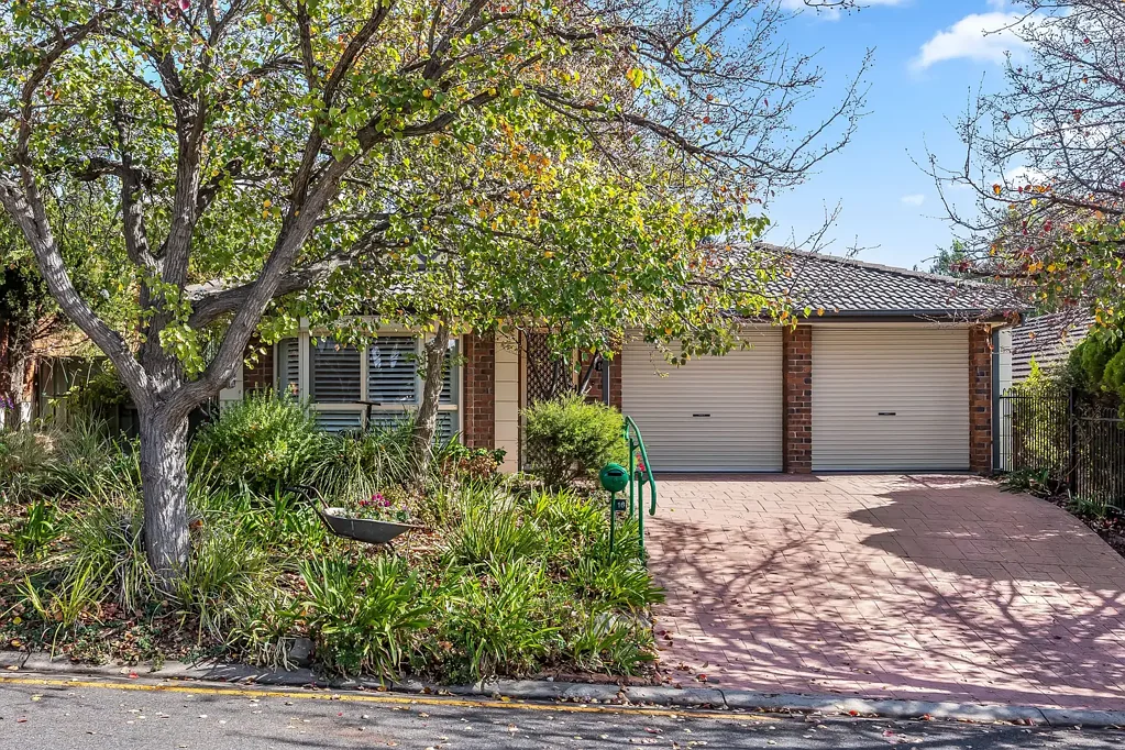 16 Lake Maurice Place, Greenwith, SA 5125