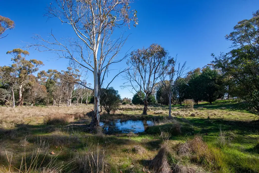 35 Hewitt's Lane, Grabben Gullen, NSW 2583