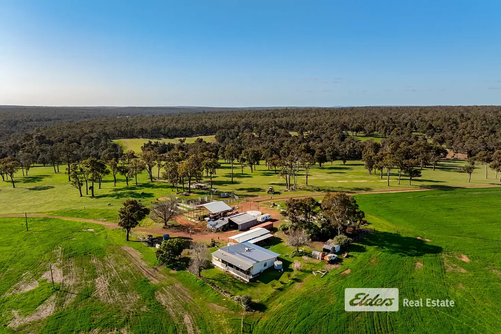 Palmer 300 ACRES OF COUNTRY FREEDOM
