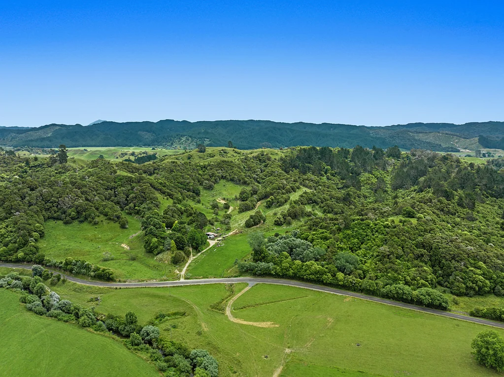 Taneatua Lifestyle Grazing Property