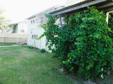 19 DUBLIN ST, MITCHELL QLD 4465, 0 ਕਮਰੇ, 0 ਬਾਥਰੂਮ, House