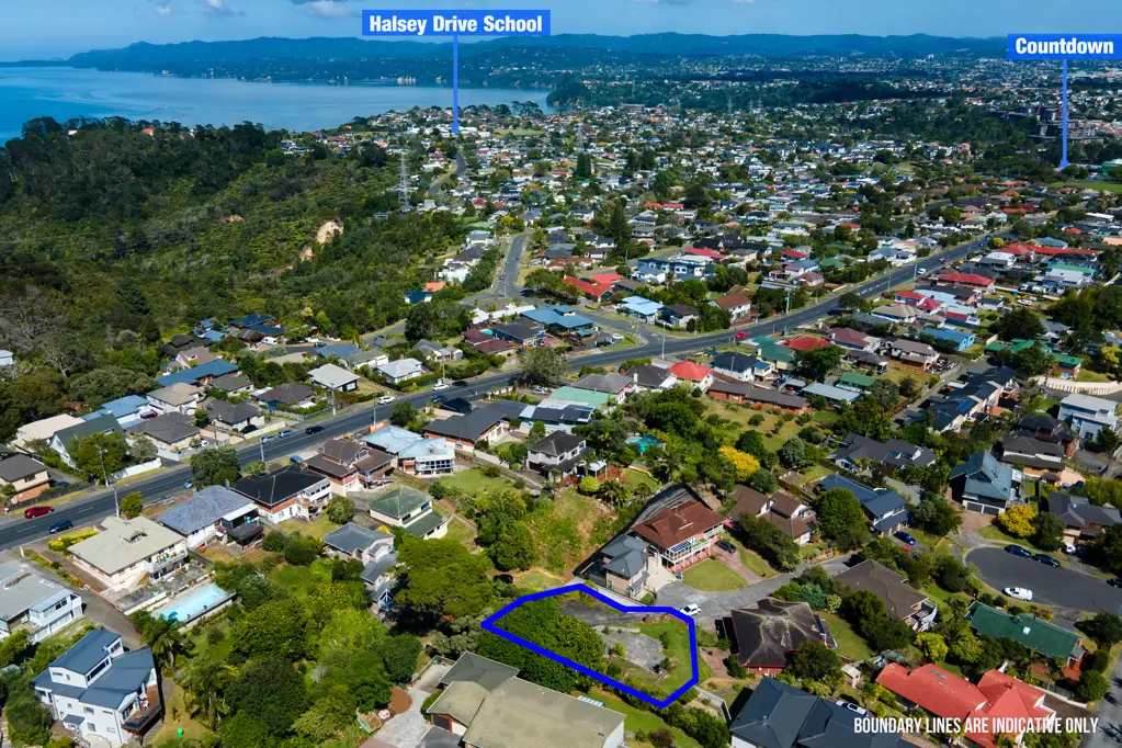 Mount Roskill Large Freehold Section in Mount Roskill