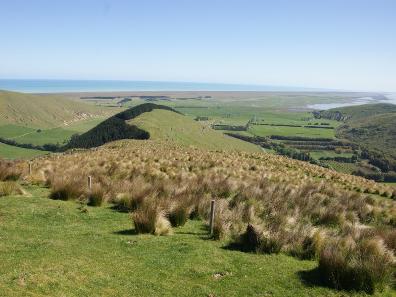 Rural Banks Peninsula