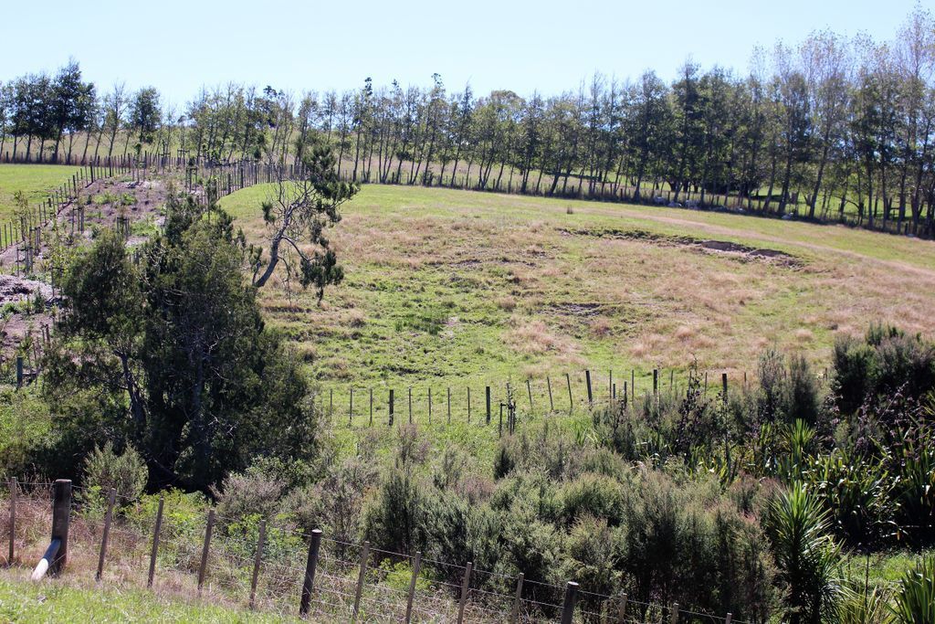 22 Palliser Downs Drive, Wainui, Auckland - Rodney, 3 ਕਮਰੇ, 0 ਬਾਥਰੂਮ