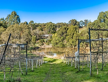 Section 385 Lobethal Road, Forest Range, Adelaide Hills, 0 ਕਮਰੇ, 0 ਬਾਥਰੂਮ, Section