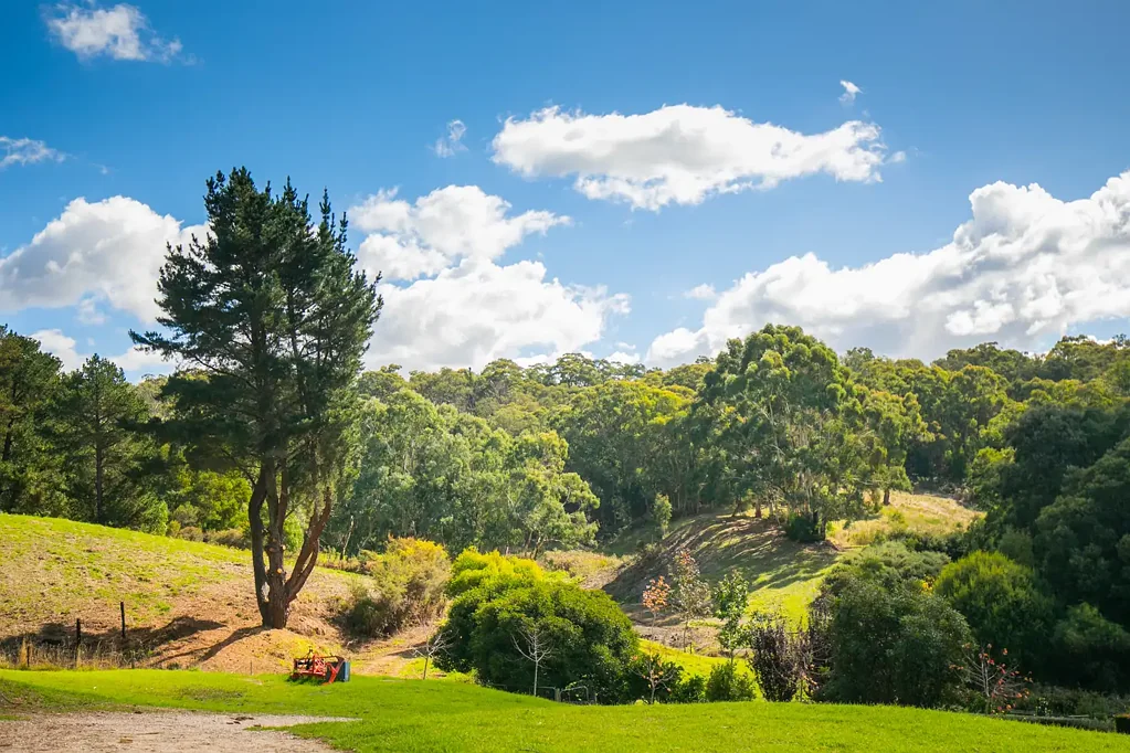 Lot 1 Onkaparinga Road, Verdun, SA 5245