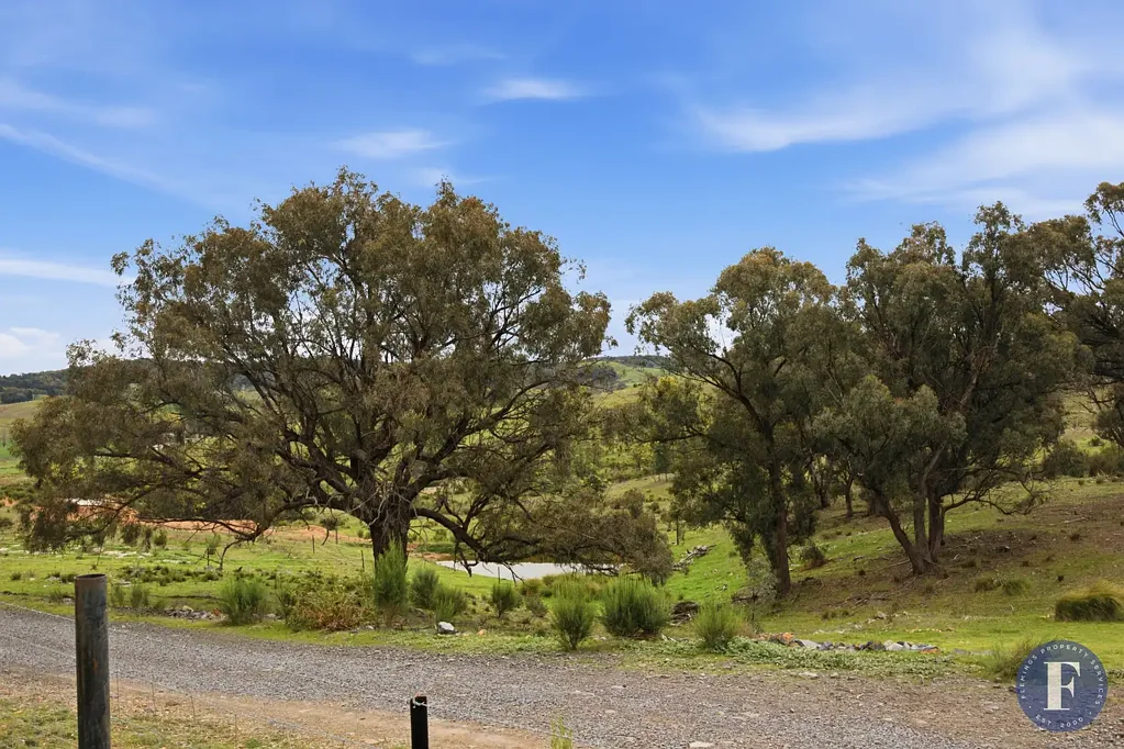 Frogmore 2Zimmer Regenerative Farming - Home in the Making