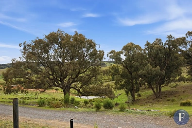 Frogmore 2Zimmer Regenerative Farming - Home in the Making