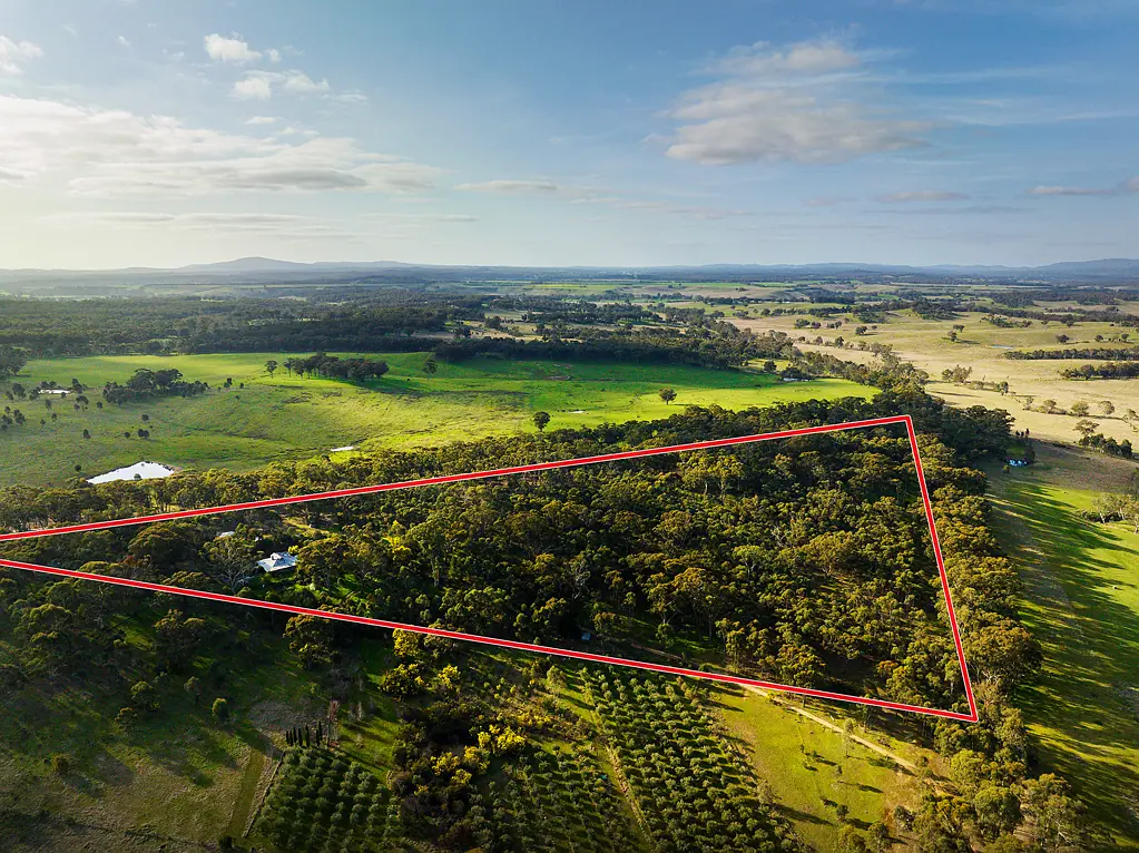 89 Molloys Lane, Yandoit, VIC 3461
