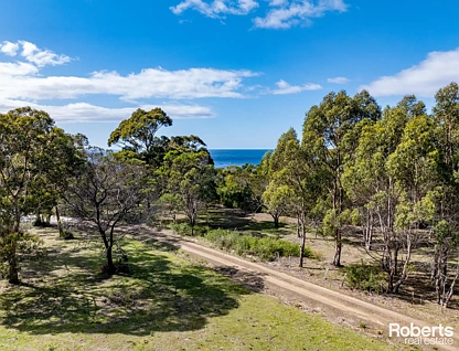 LOT 101/248 Harveys Farm Road, Bicheno, South East, 0房, 0浴, Section