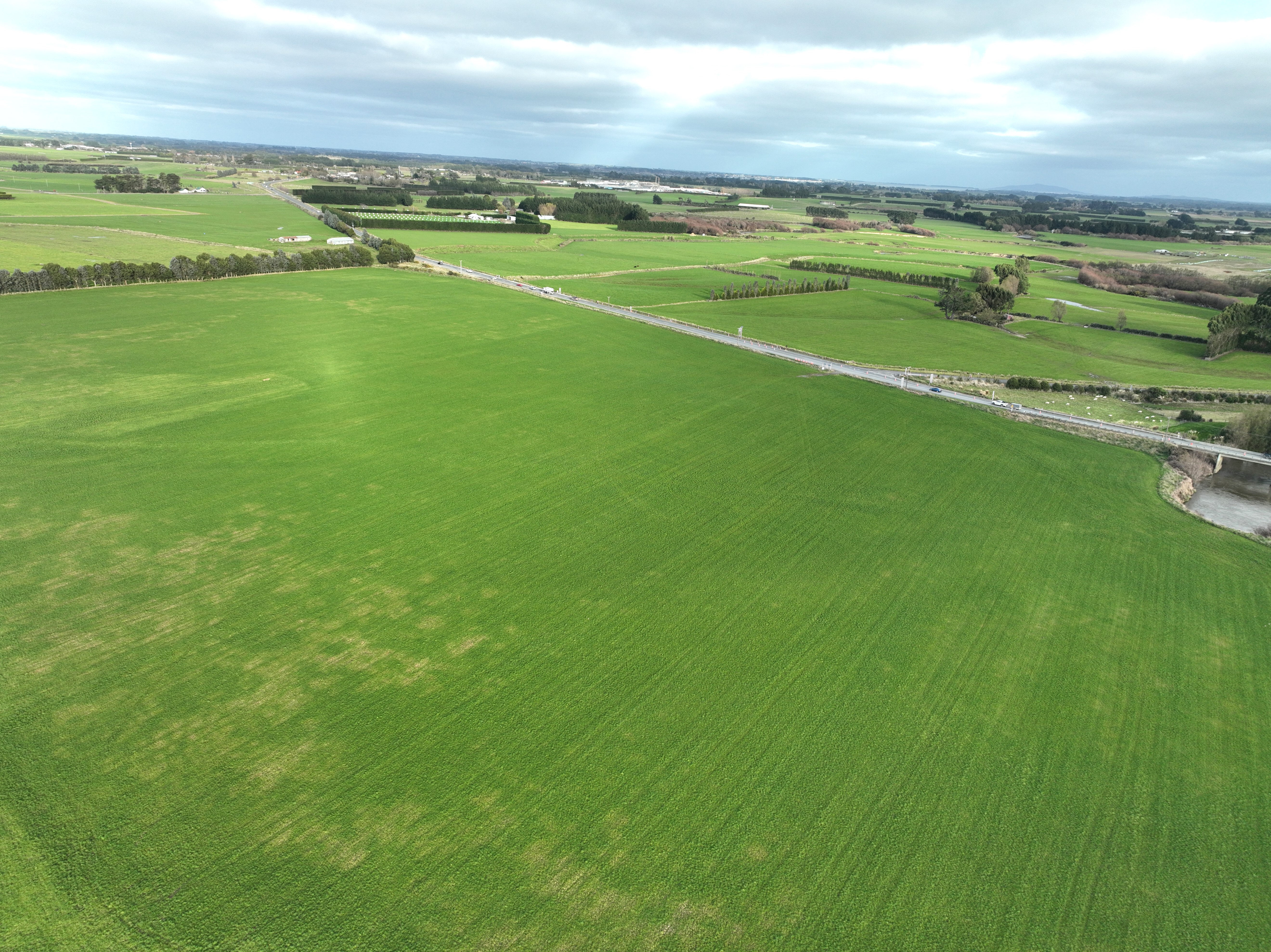 390 Wallacetown Lorneville Highway, Makarewa, Southland, 0 rūma, 1 rūma horoi, Cropping