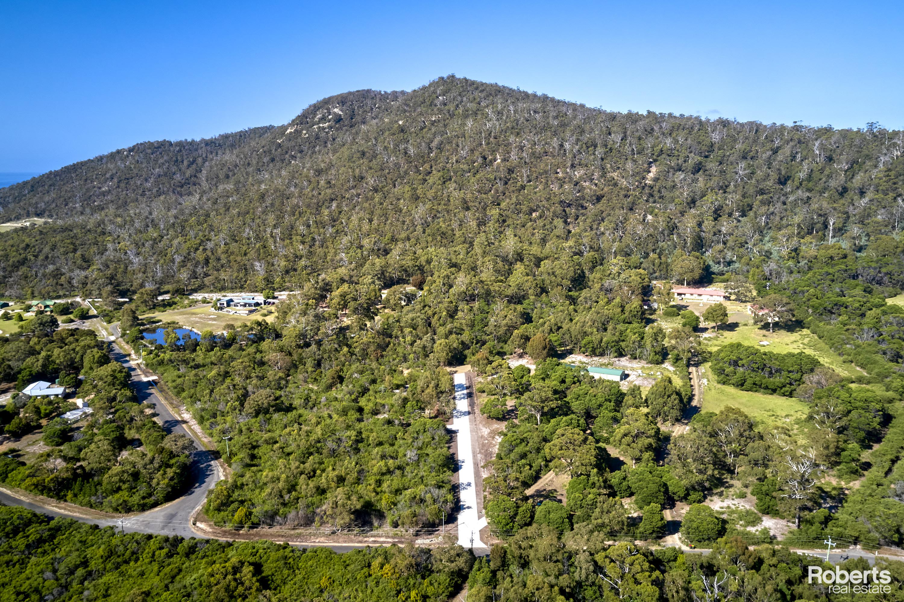 258 HARVEYS FARM RD, BICHENO TAS 7215, 0 chambres, 0 salles de bain, Section