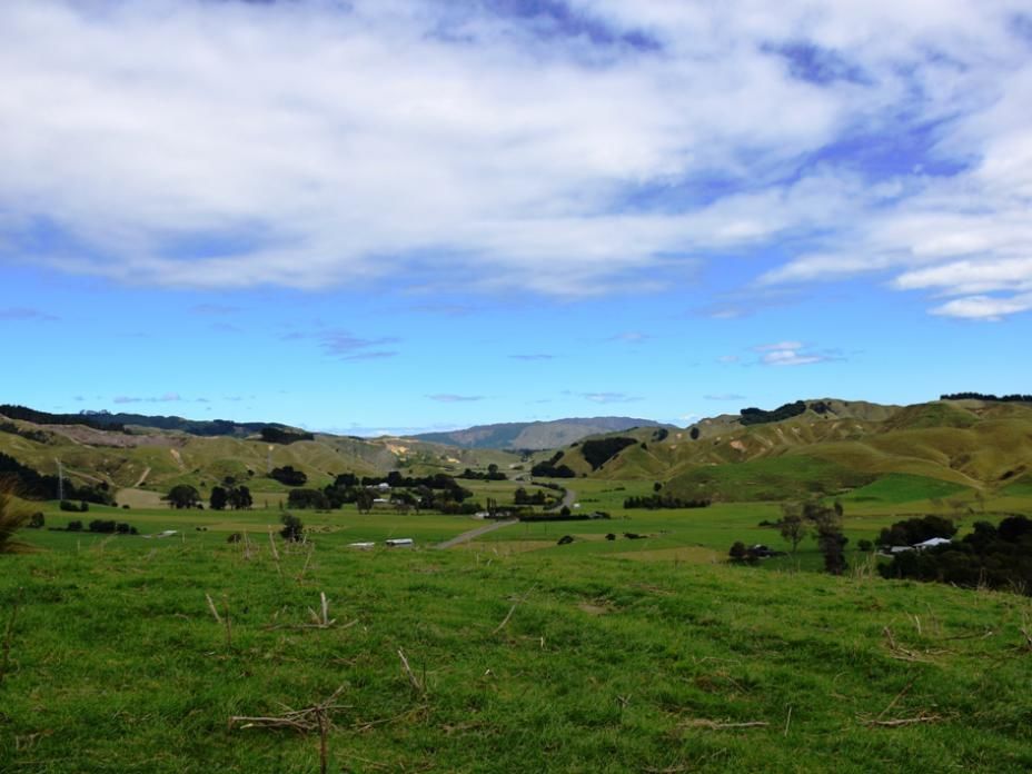 18 South Manakau Road, Manakau, Horowhenua, 4 침실, 0 욕실