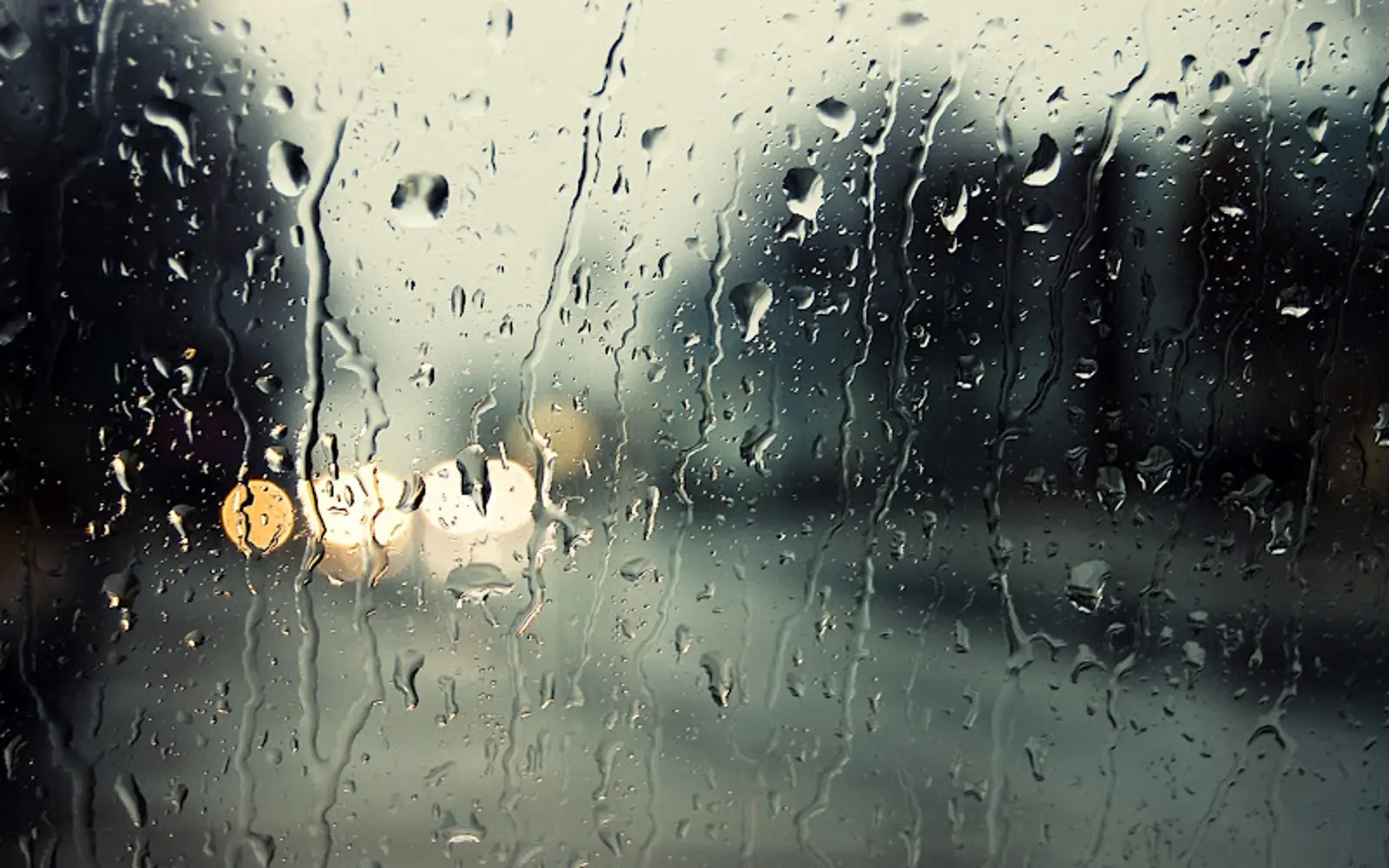 暴雨又来了！未来一周，奥克兰几乎天天都会下雨！