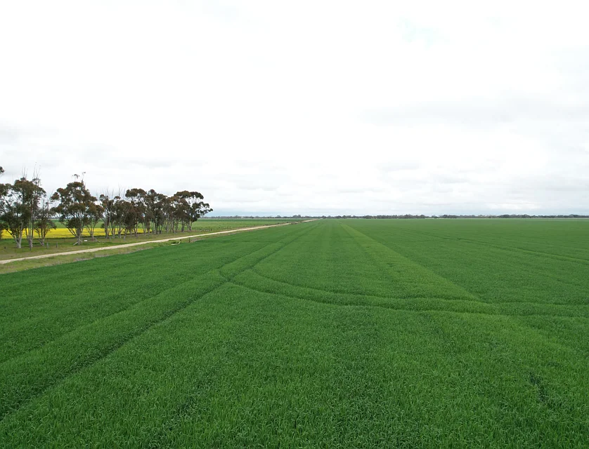 C/A 12 & 13 Elmore-Mitiamo Road, Milloo, Bendigo, 0房, 0浴, Lifestyle Property