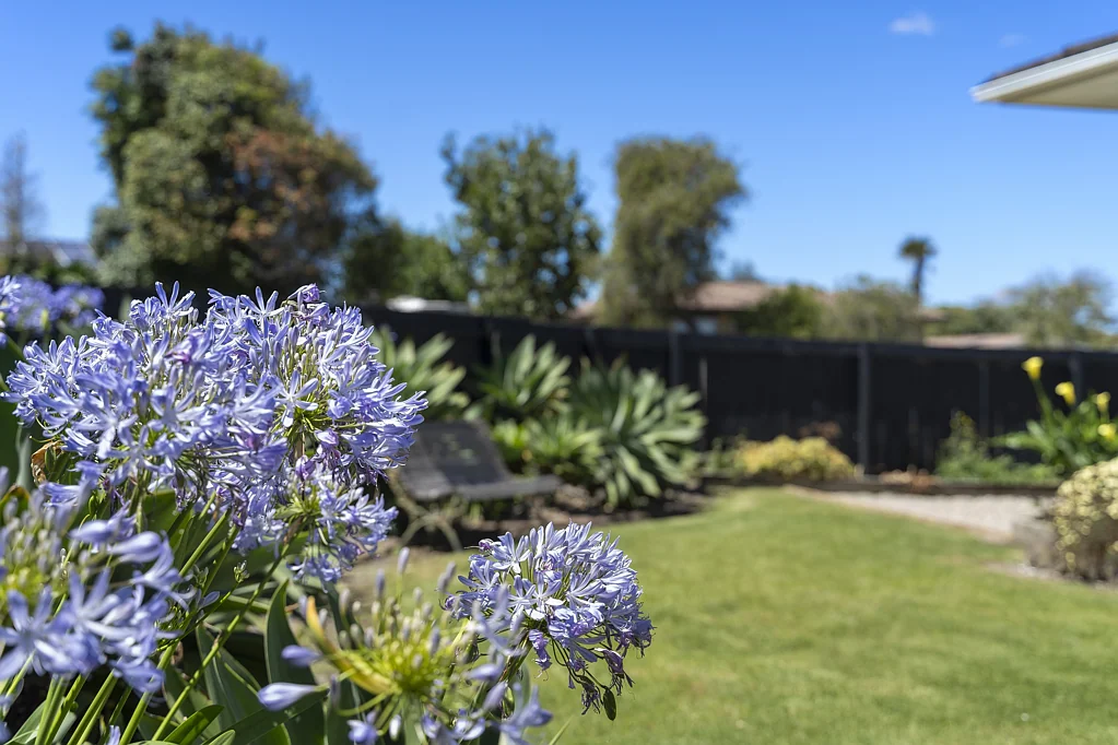 3/16 Helms Place, Manurewa, Manukau City, Auckland