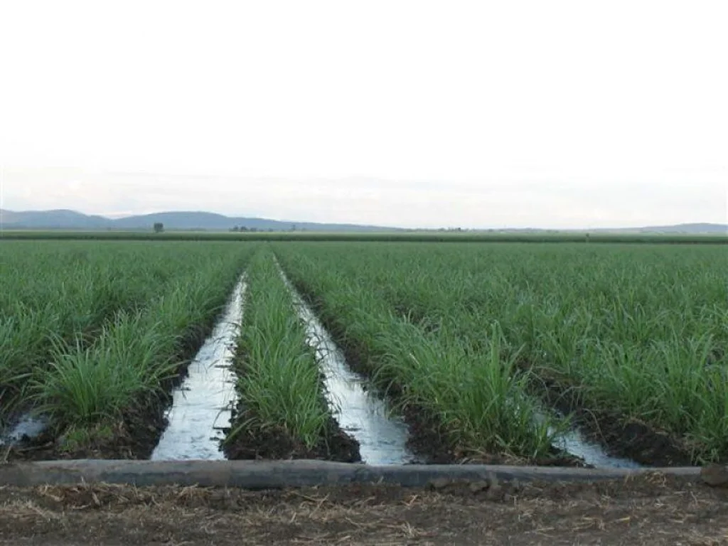 Home Hill  Burdekin soils and water