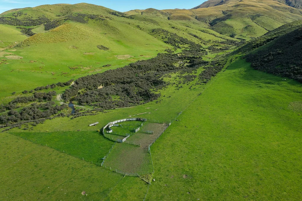 Ranfurly  Unique Opportunity
