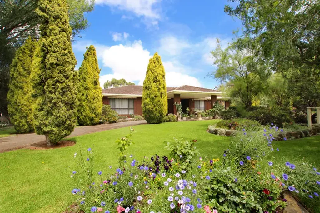 39 Bridge Road, Bushfield, VIC 3281