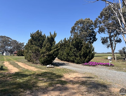 1875 Toolamba Road, Murchison North, Shepparton, 3房, 2浴, House