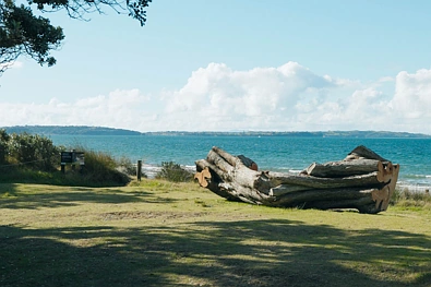 38 Waitai Close, Long Bay, North Shore City, 5 Bedrooms, 4 Bathrooms, House
