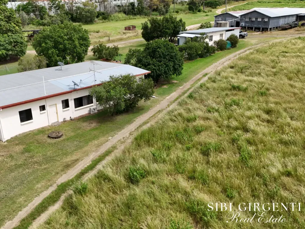 Dimbulah  THRIVING DIMBULAH ORCHARD OPPORTUNITY