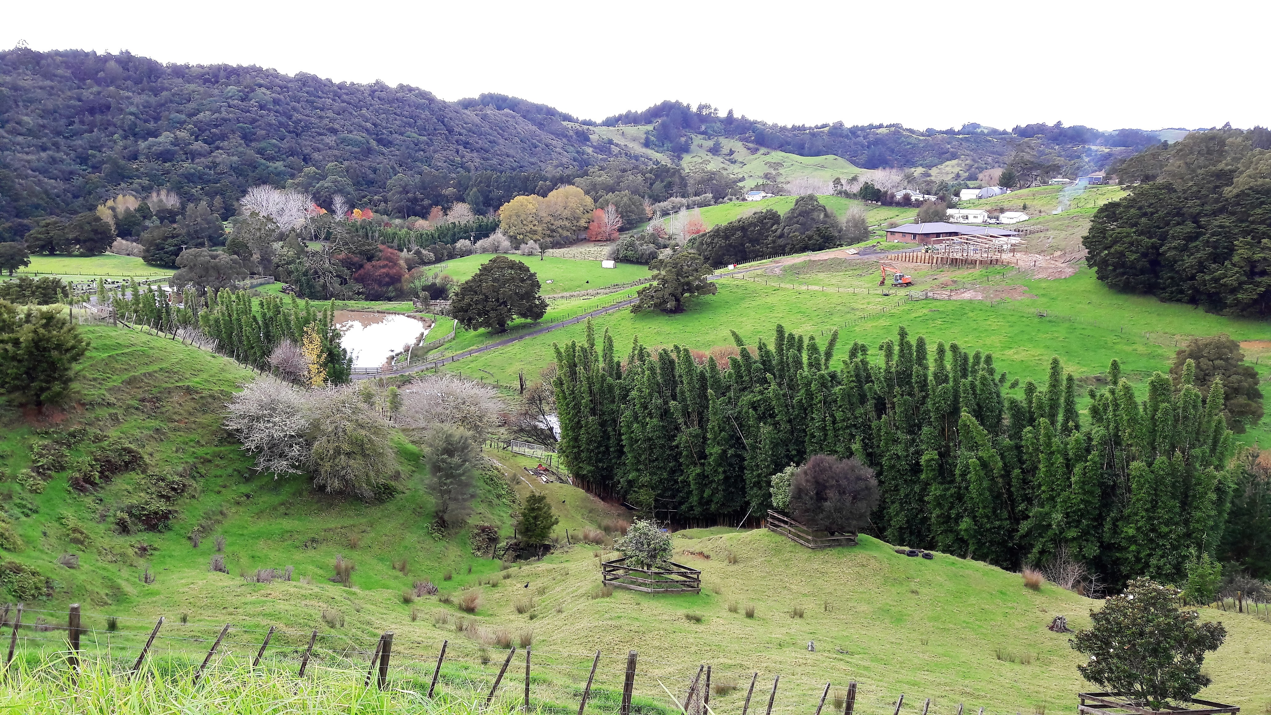 161 Ahuroa Road, Puhoi, Auckland - Rodney, 4房, 1浴