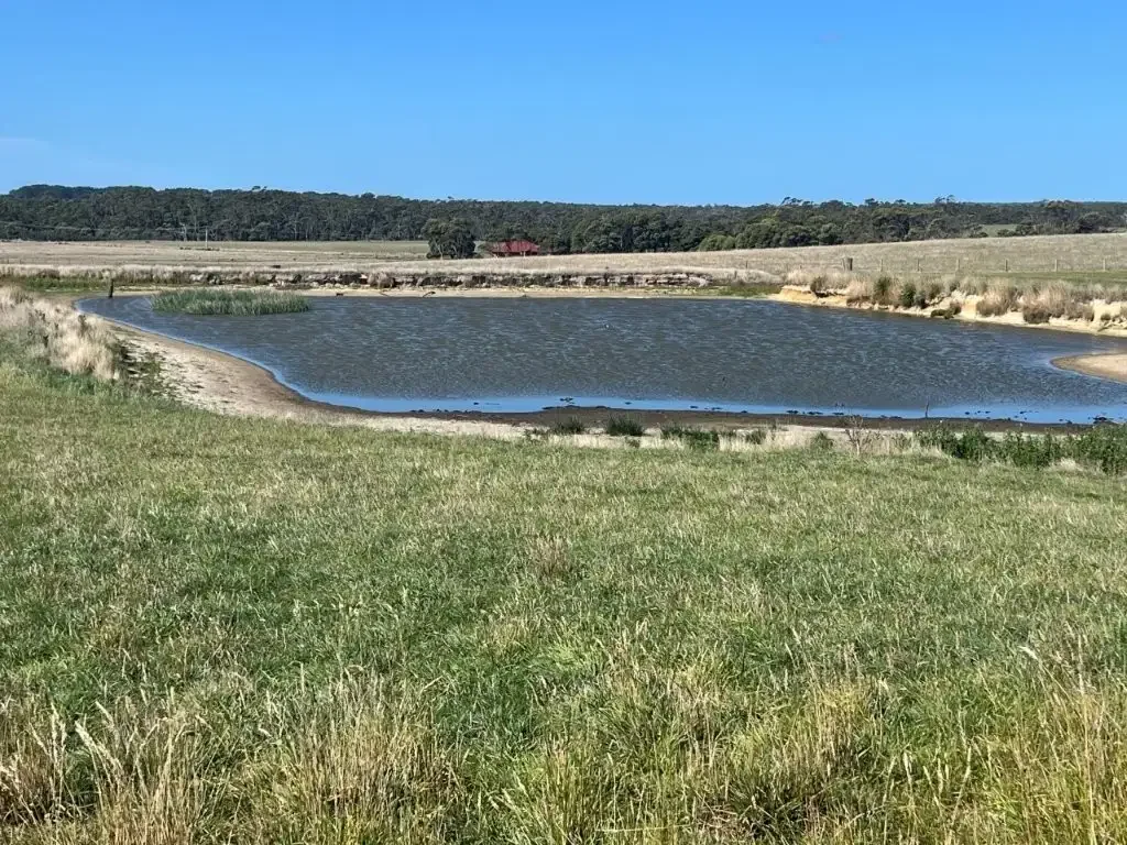 Gladstone  "Musselroe Park"