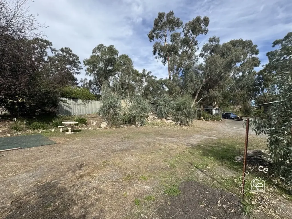 Birdwood Rare and unique