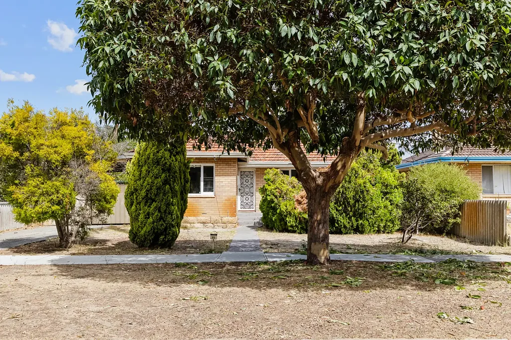 66 Gardiner Street, Belmont, WA 6104
